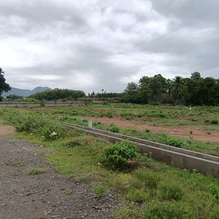 undefined, sarada colony  167 Sq.Yd. Plot In Sarada Colony Anakapalle 10745874