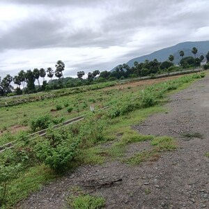 Plot Area in  Plot at Sarada Colony – for Sale