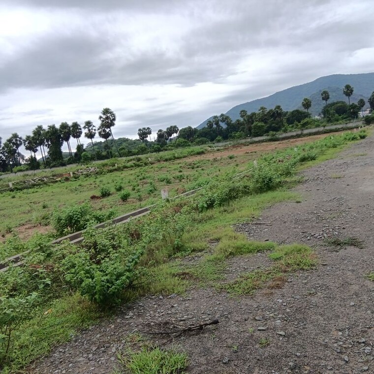 undefined, sarada colony  167 Sq.Yd. Plot In Sarada Colony Anakapalle 10745874
