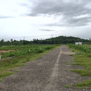 Plot Area in  Plot at Sarada Colony – for Sale