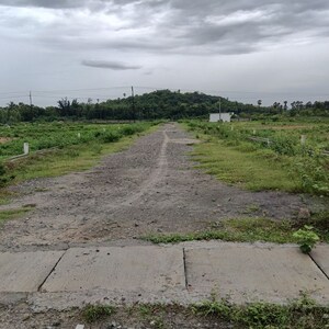Plot Area in  Plot at Sarada Colony – for Sale