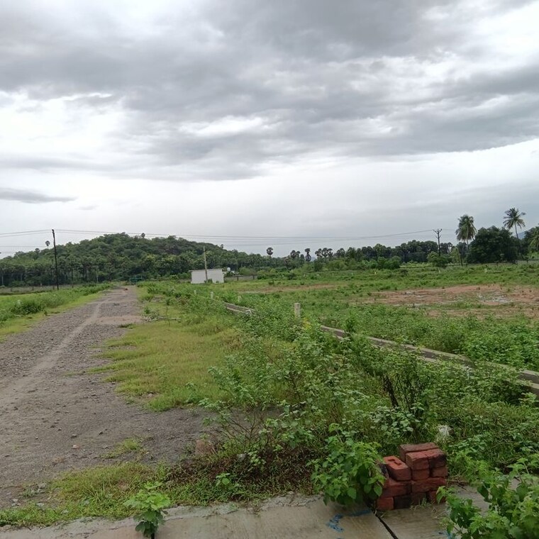 undefined, sarada colony  183 Sq.Yd. Plot In Sarada Colony Anakapalle 10745902