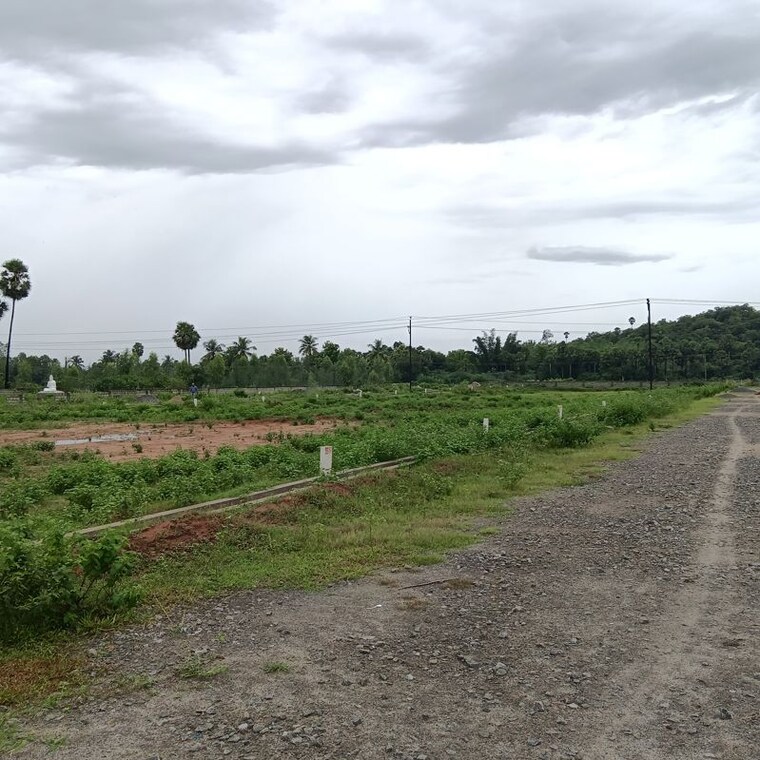 undefined, sarada colony  183 Sq.Yd. Plot In Sarada Colony Anakapalle 10745902