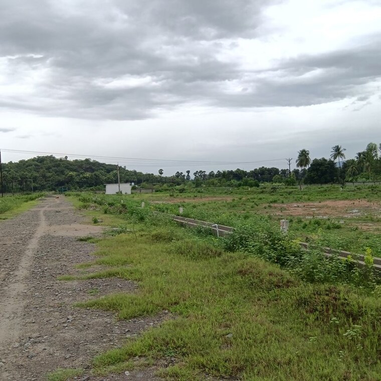 undefined, sarada colony  183 Sq.Yd. Plot In Sarada Colony Anakapalle 10745902