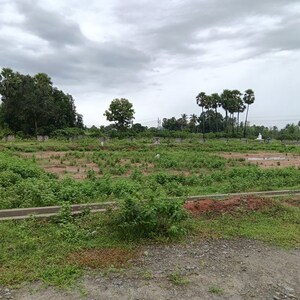 Plot Area in  Plot at Sarada Colony – for Sale