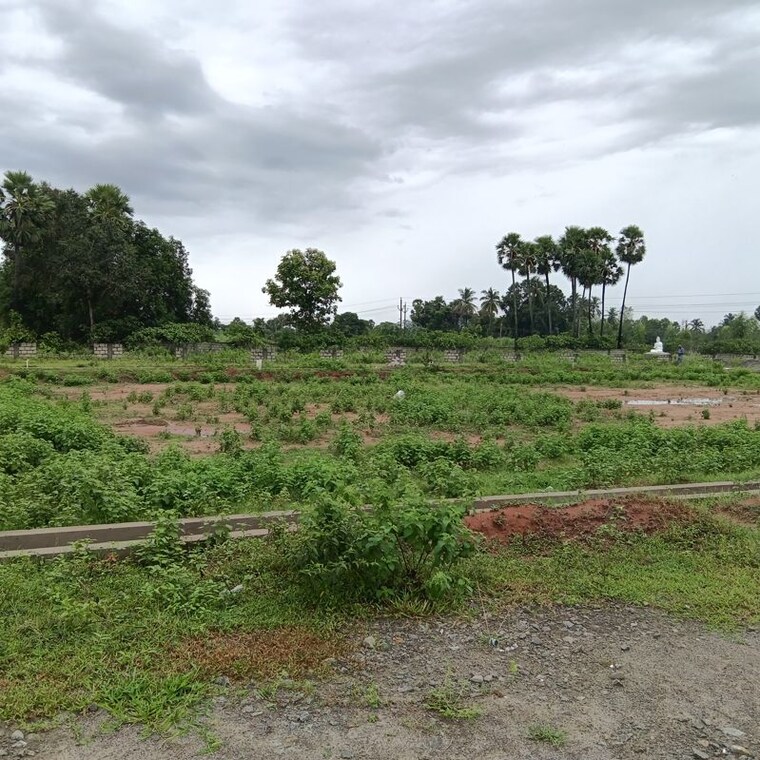 undefined, sarada colony  183 Sq.Yd. Plot In Sarada Colony Anakapalle 10745902