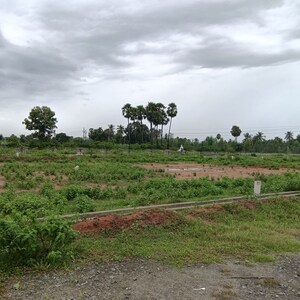 Plot Area in  Plot at Sarada Colony – for Sale