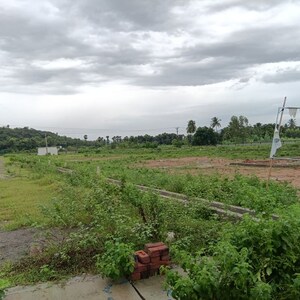 Plot Area in  Plot at Sarada Colony – for Sale