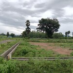 200 Sq.Yd. Plot in Sarada Colony