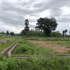  Plot For Sale in Sarada Colony