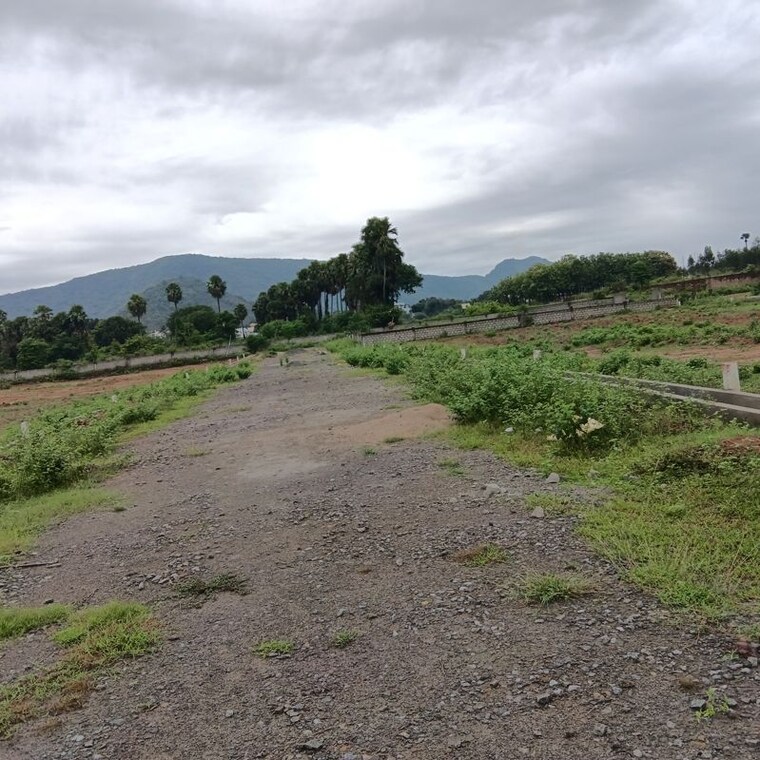 undefined, sarada colony  200 Sq.Yd. Plot In Sarada Colony Anakapalle 10745917