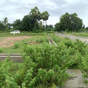  Plot – Garden View at Sarada Colony - for Sale
