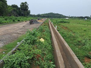 Plot Area in  Plot at Sarada Colony – for Sale