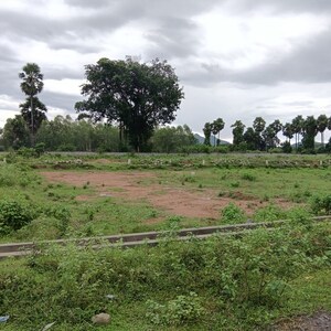 Plot Area in  Plot at Sarada Colony – for Sale