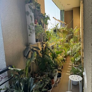 Balcony in 3 BHK Apartment at Vipul World Floors, Sector 48 – for Rent