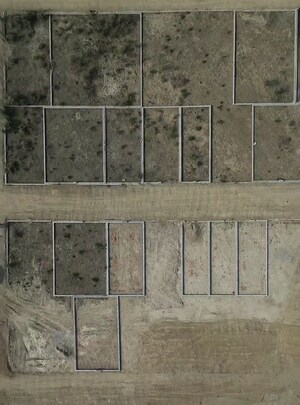 Plot Area in  Plot at Jhalwa – for Sale