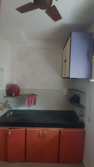 Kitchen in 1 BHK Apartment at Aditya Park CHS, Dahisar East – for Rent