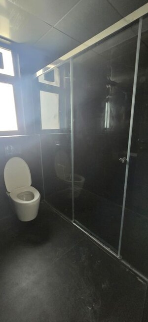 Bathroom in 4 BHK Apartment at ANP Universe, Balewadi – for Rent