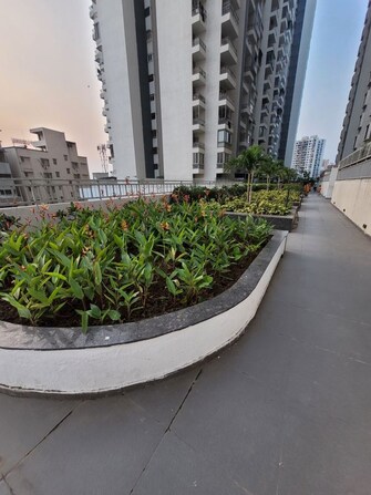 1 BHK +  450 Sq.Ft. Apartment in Kolte Patil Life Republic R 10
