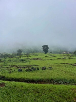  Plot For Sale in Bhor