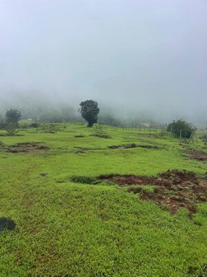 Plot Area in  Plot at Bhor – for Sale