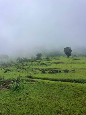 Plot Area in  Plot at Bhor – for Sale