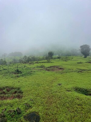 Plot Area in  Plot at Bhor – for Sale