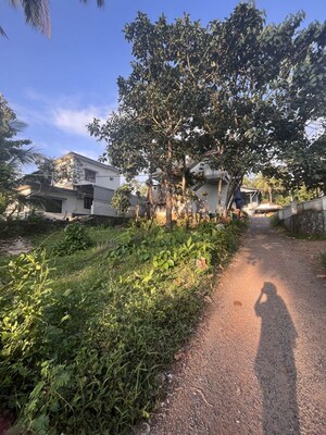  Land For Rent in Koodathumpoyil
