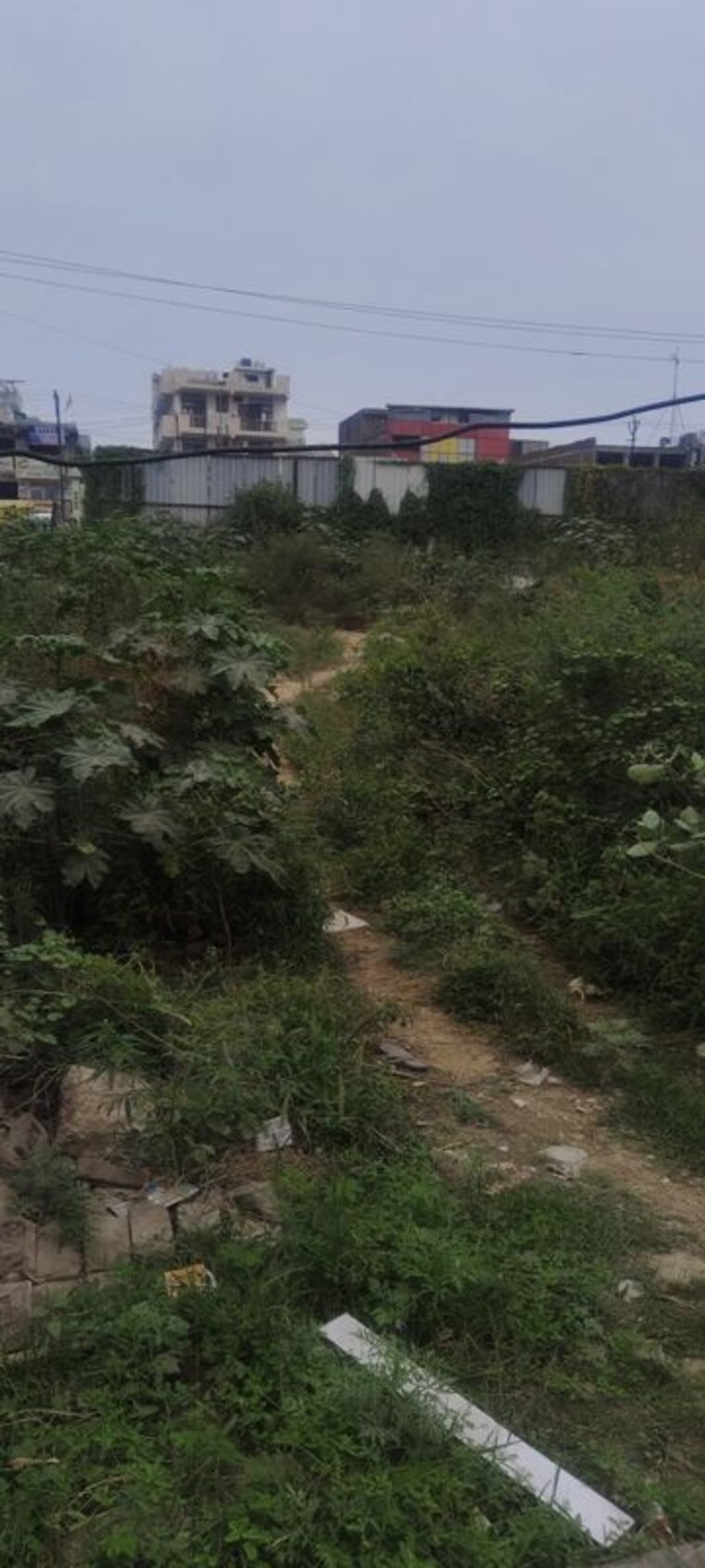 undefined, sector 16b greater noida Commercial Land 350 Sq.Yd. In Sector 16b Greater Noida Greater Noida 10747261