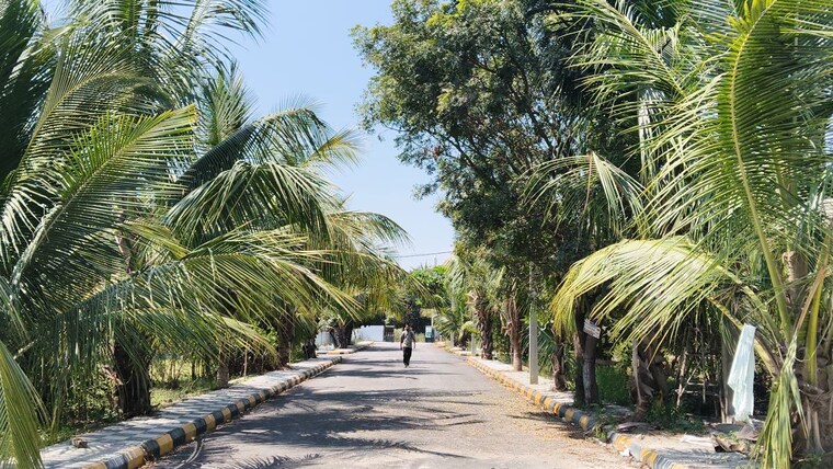 Exterior View, jharasangam  242 Sq.Yd. Plot In Jharasangam Sangareddy 10747347