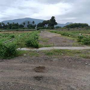 Plot Area in  Plot at Sarada Colony – for Sale