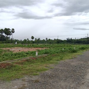 Plot Area in  Plot at Sarada Colony – for Sale