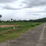 220 Sq.Yd. Plot in Sarada Colony