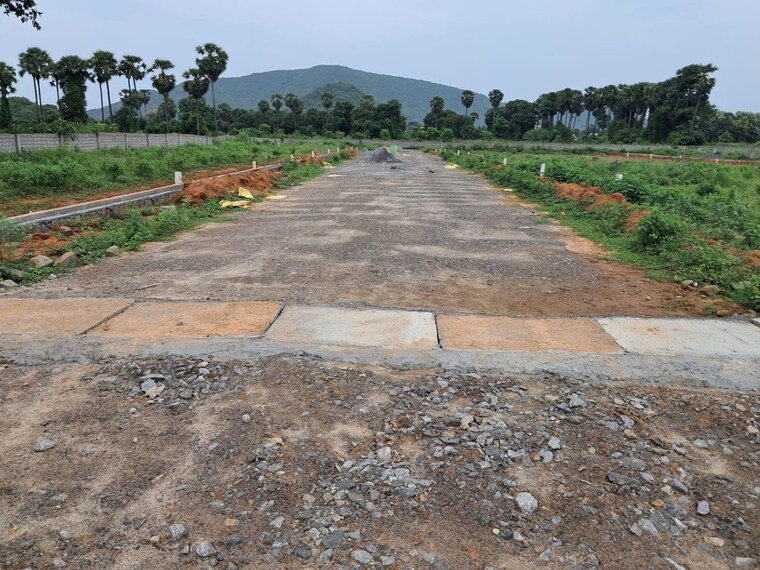 undefined, sarada colony  220 Sq.Yd. Plot In Sarada Colony Anakapalle 10747804