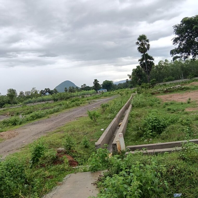 undefined, sarada colony  250 Sq.Yd. Plot In Sarada Colony Anakapalle 10747809