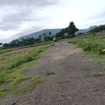 250 Sq.Yd. Plot in Sarada Colony