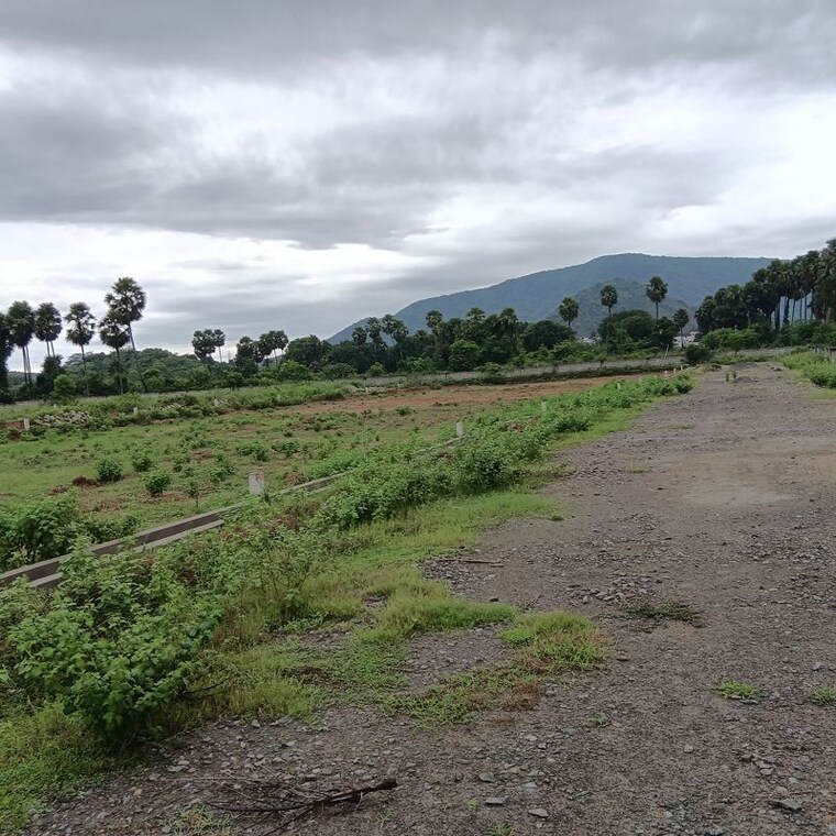 undefined, sarada colony  250 Sq.Yd. Plot In Sarada Colony Anakapalle 10747809