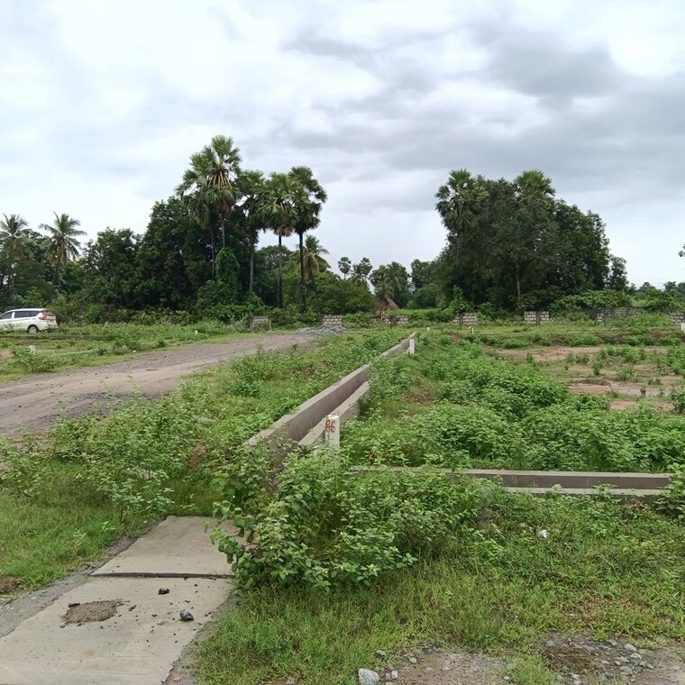 Garden, sarada colony  250 Sq.Yd. Plot In Sarada Colony Anakapalle 10747809
