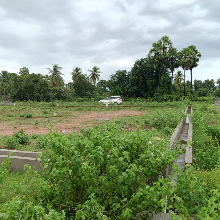 undefined, sarada colony  250 Sq.Yd. Plot In Sarada Colony Anakapalle 10747809
