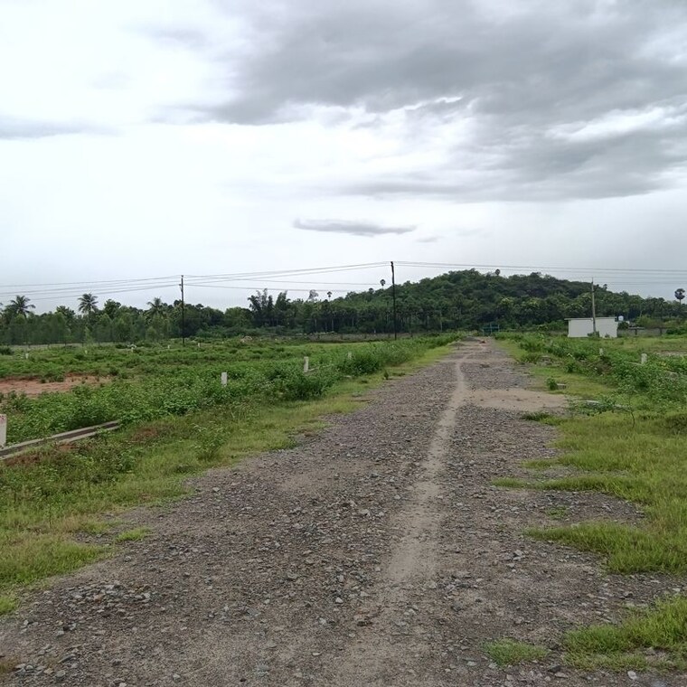 undefined, sarada colony  250 Sq.Yd. Plot In Sarada Colony Anakapalle 10747809
