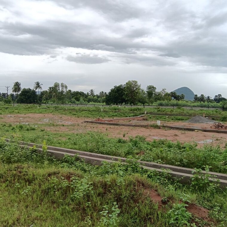 undefined, sarada colony  250 Sq.Yd. Plot In Sarada Colony Anakapalle 10747809