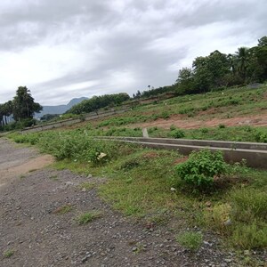 Plot Area in  Plot at Sarada Colony – for Sale