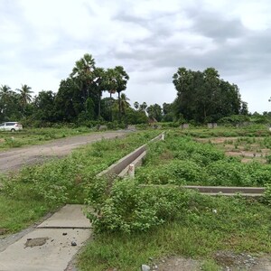  Plot – Garden View at Sarada Colony - for Sale