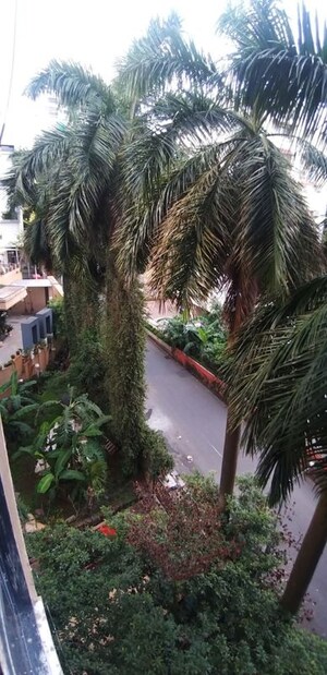 4 BHK Apartment – Garden View at Morning Glory Apartment, Pali Hill - for Rent