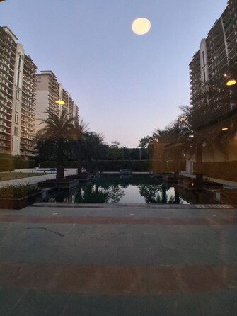 3.5 BHK +  2650 Sq.Ft. Apartment in DLF Express Greens