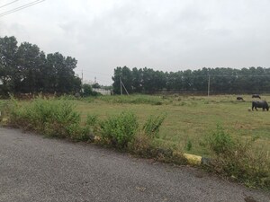  Plot For Sale in Shadnagar