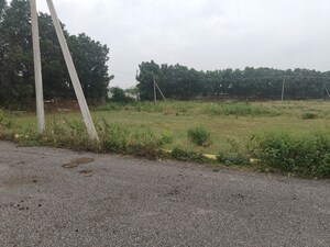 Plot Area in  Plot at Shadnagar – for Sale