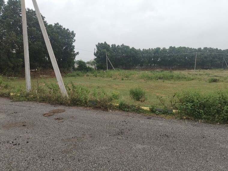 undefined, shadnagar  523 Sq.Yd. Plot In Shadnagar Hyderabad 10748060