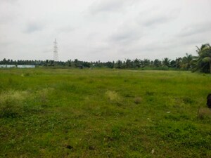 Plot Area in  Independent House at Vattigudipadu – for Sale