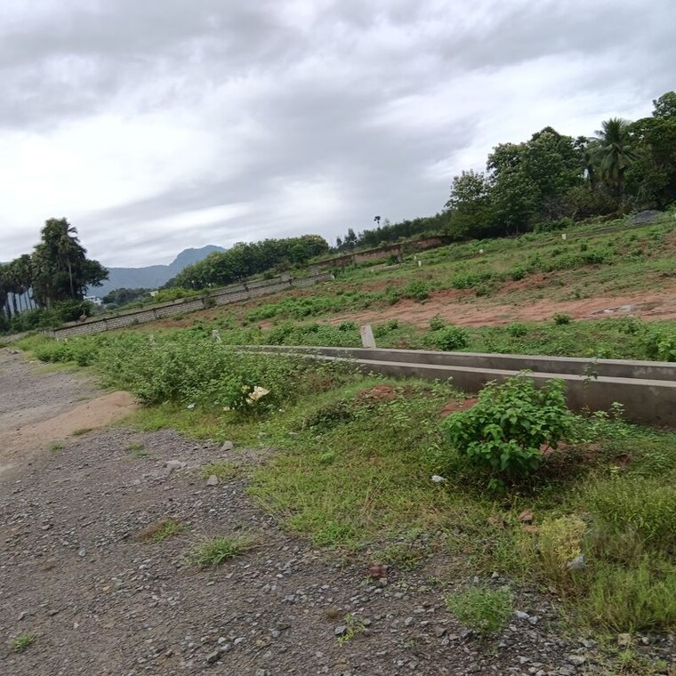 undefined, sarada colony  300 Sq.Yd. Plot In Sarada Colony Anakapalle 10748118